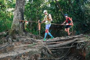 BIB: 
                            <button type="button" onclick="openModal(27752523)" class="btn btn-primary btn-sm float-right btn-popup" data-toggle="modal" data-target=".modal-high-quality">
                        <i class="fas fa-shopping-cart"></i> Add to Cart
                    </button>
                                            <button type="button" onclick="isThisMe(27752523, true)" class="btn btn-success btn-sm float-right btn-popup btn-isme hidden" data-toggle="tooltip" data-placement="bottom" title="นี่คือรูปของคุณใช่ไหม คลิกที่นี่เพื่อเอาเข้าอัลบั้ม">
                        <i class="fas fa-plus"></i> Add to album
                    </button>
                    <button type="button" onclick="isThisMe(27752523, false)" class="btn btn-warning btn-sm float-right btn-popup btn-isnotme hidden">
                        <i class="fas fa-ban"></i> Remove from album
                    </button>